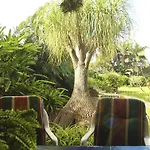 Tocama By Interhome بيت للعطل *