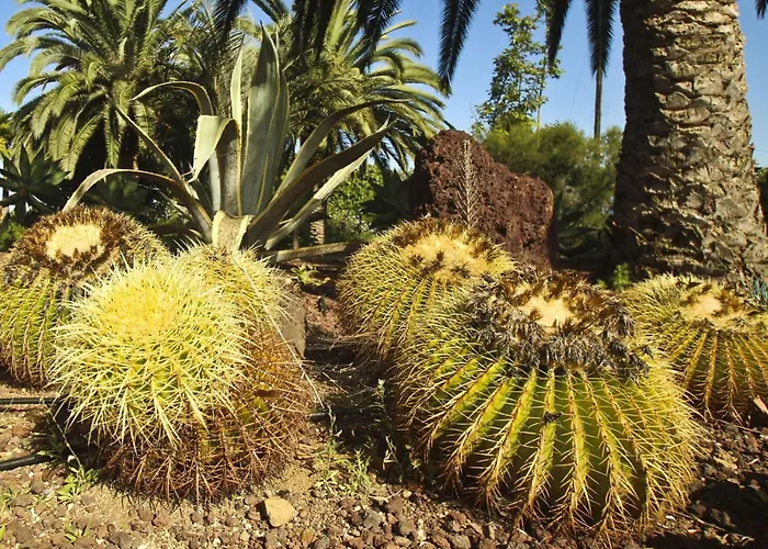 Tocama By Interhome *